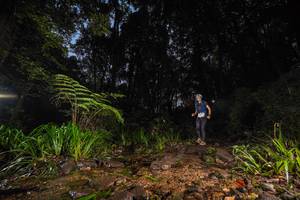 BIB: 
                            <button type="button" onclick="openModal(19245447)" class="btn btn-primary btn-sm float-right btn-popup" data-toggle="modal" data-target=".modal-high-quality">
                        <i class="fas fa-shopping-cart"></i> Add to Cart
                    </button>
                                            <button type="button" onclick="isThisMe(19245447, true)" class="btn btn-success btn-sm float-right btn-popup btn-isme hidden" data-toggle="tooltip" data-placement="bottom" title="นี่คือรูปของคุณใช่ไหม คลิกที่นี่เพื่อเอาเข้าอัลบั้ม">
                        <i class="fas fa-plus"></i> Add to album
                    </button>
                    <button type="button" onclick="isThisMe(19245447, false)" class="btn btn-warning btn-sm float-right btn-popup btn-isnotme hidden">
                        <i class="fas fa-ban"></i> Remove from album
                    </button>